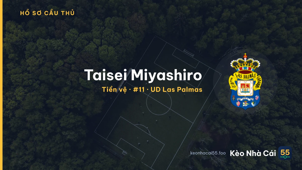 Taisei Miyashiro — UD Las Palmas