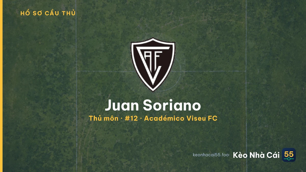 Juan Soriano — Académico Viseu FC