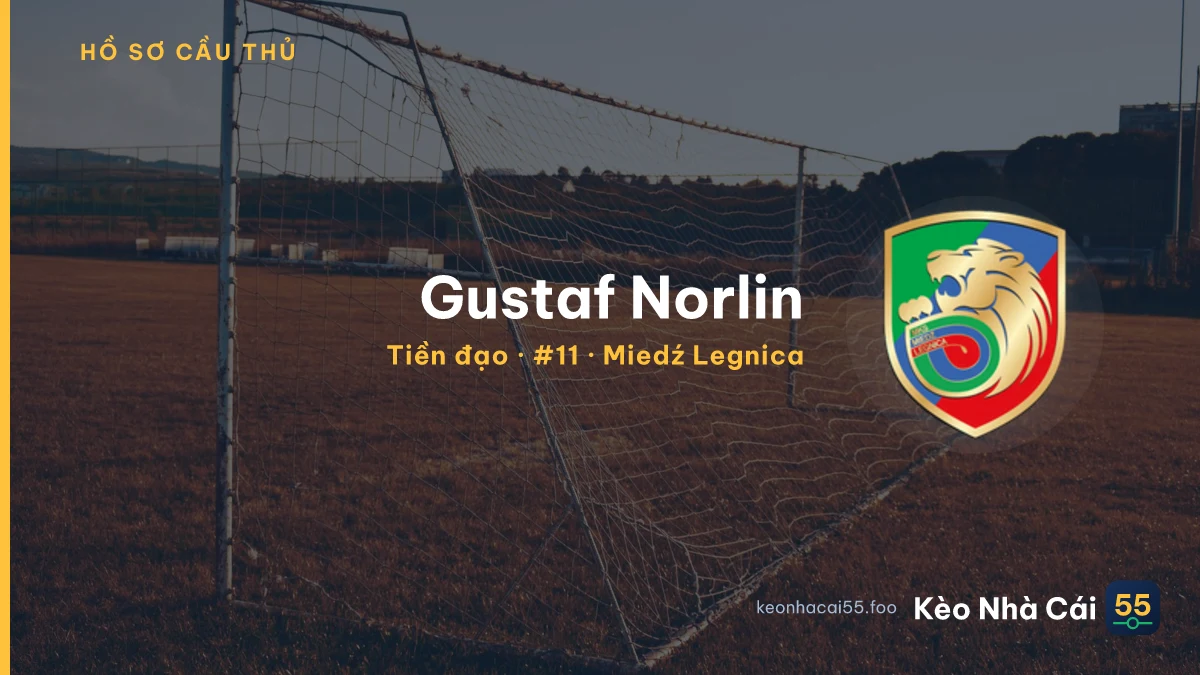 Gustaf Norlin — Miedź Legnica