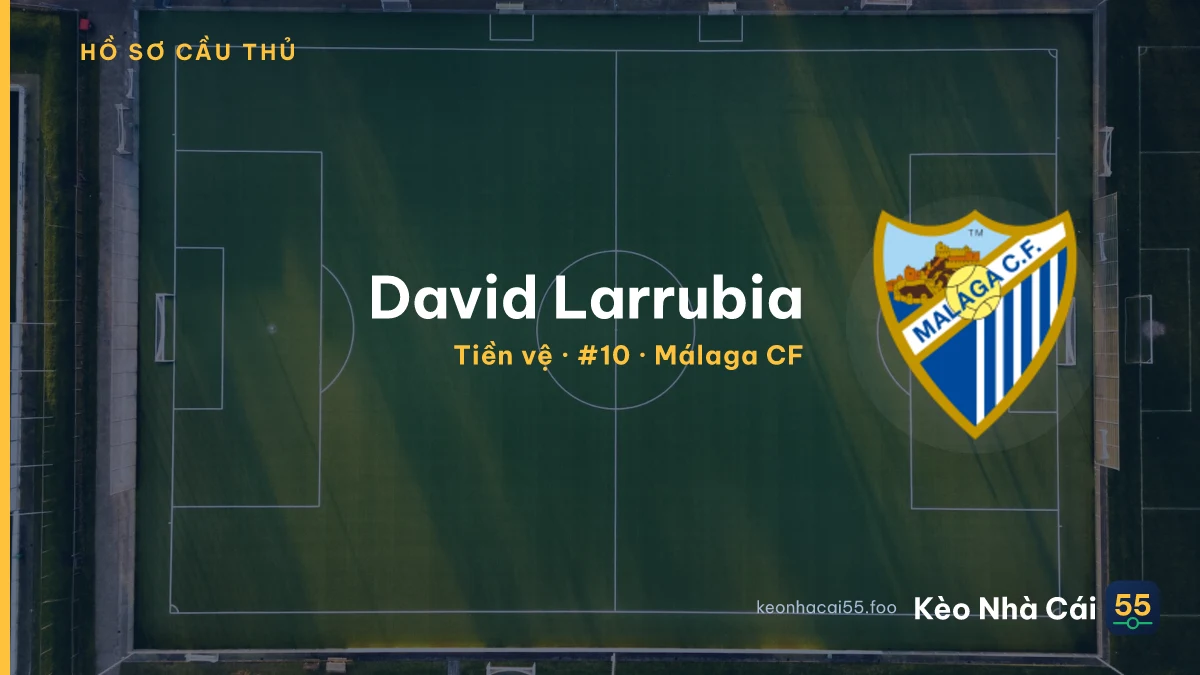 David Larrubia — Málaga CF