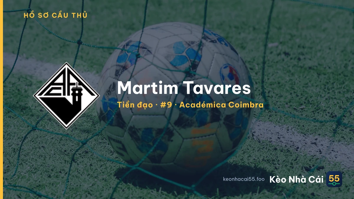 Martim Tavares — Académica Coimbra