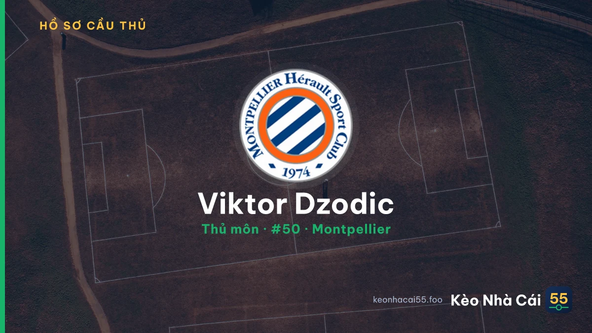 Viktor Dzodic — Montpellier
