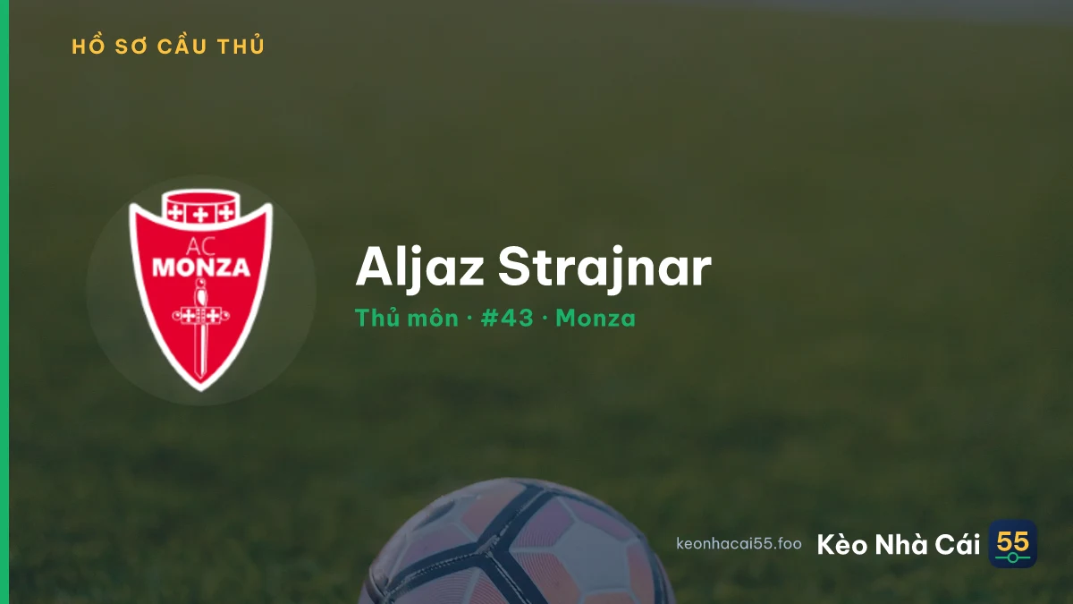 Aljaz Strajnar — Monza