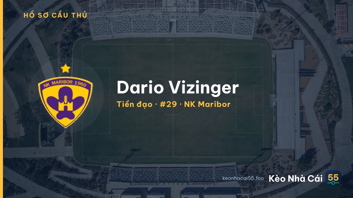 Dario Vizinger — NK Maribor