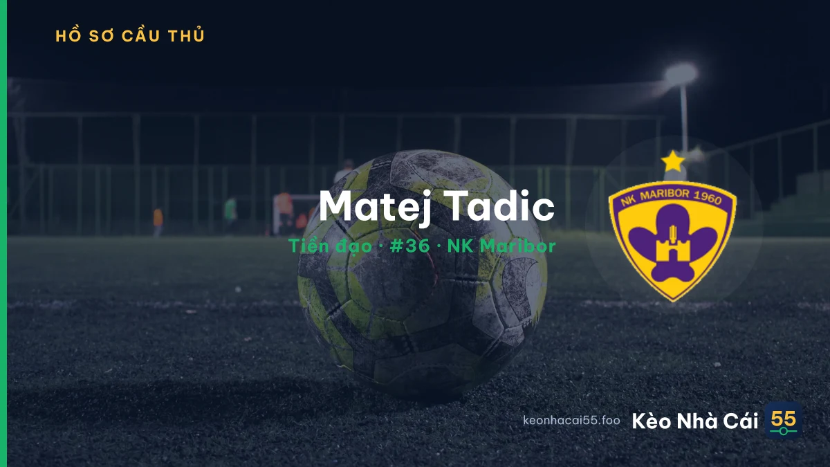 Matej Tadic — NK Maribor