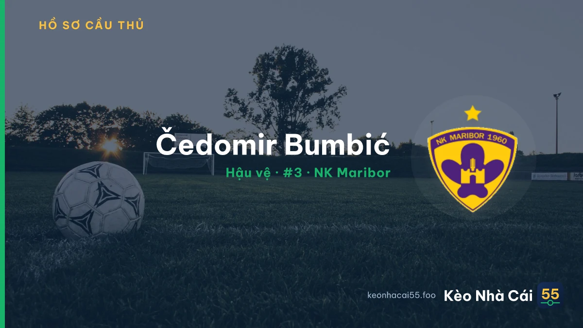 Čedomir Bumbić — NK Maribor