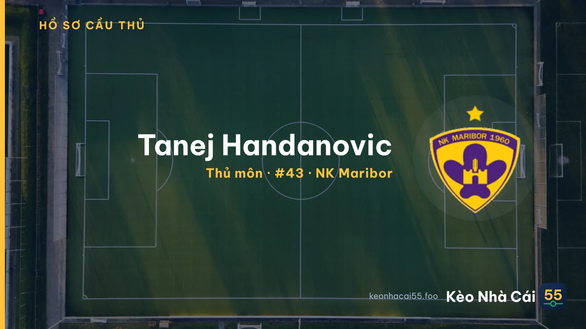 Tanej Handanovic — NK Maribor