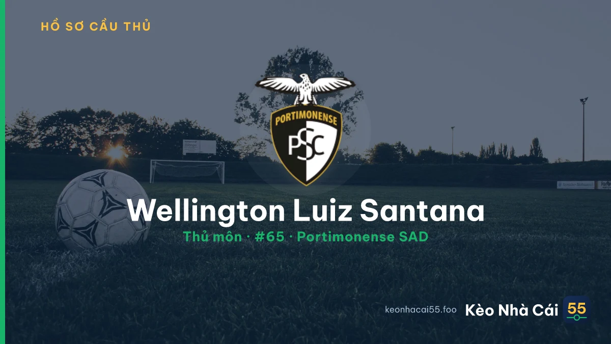 Wellington Luiz Santana — Portimonense SAD