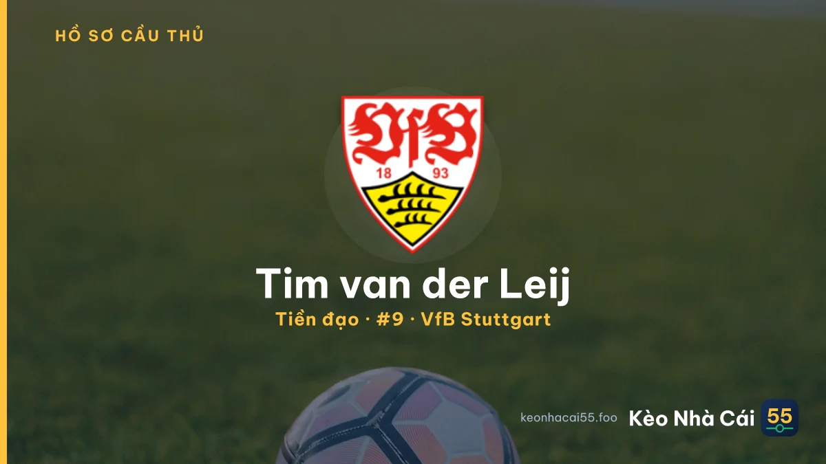 Tim van der Leij — VfB Stuttgart