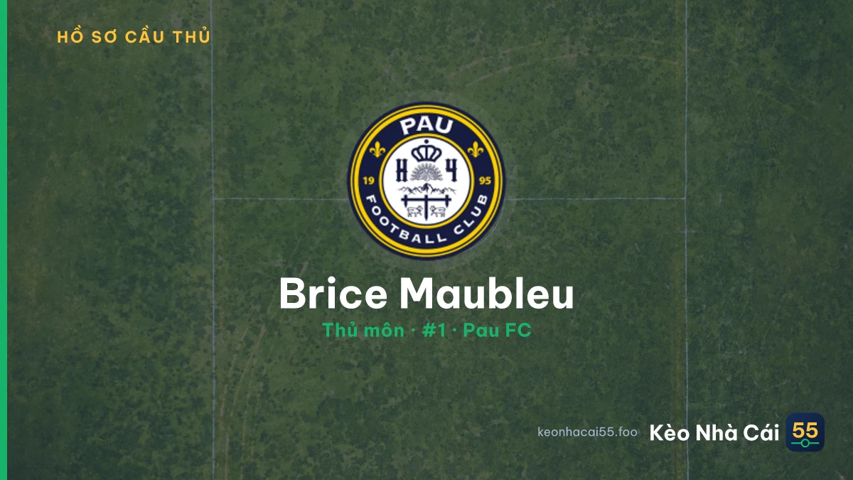 Brice Maubleu — Pau FC