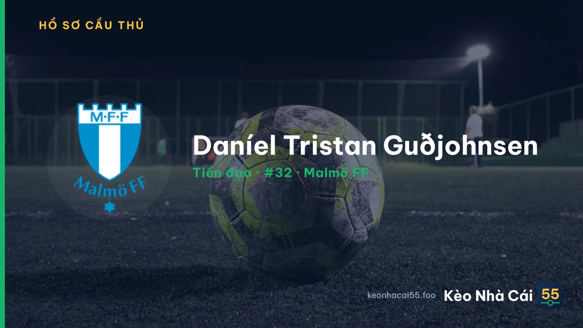 Daníel Tristan Guðjohnsen — Malmö FF