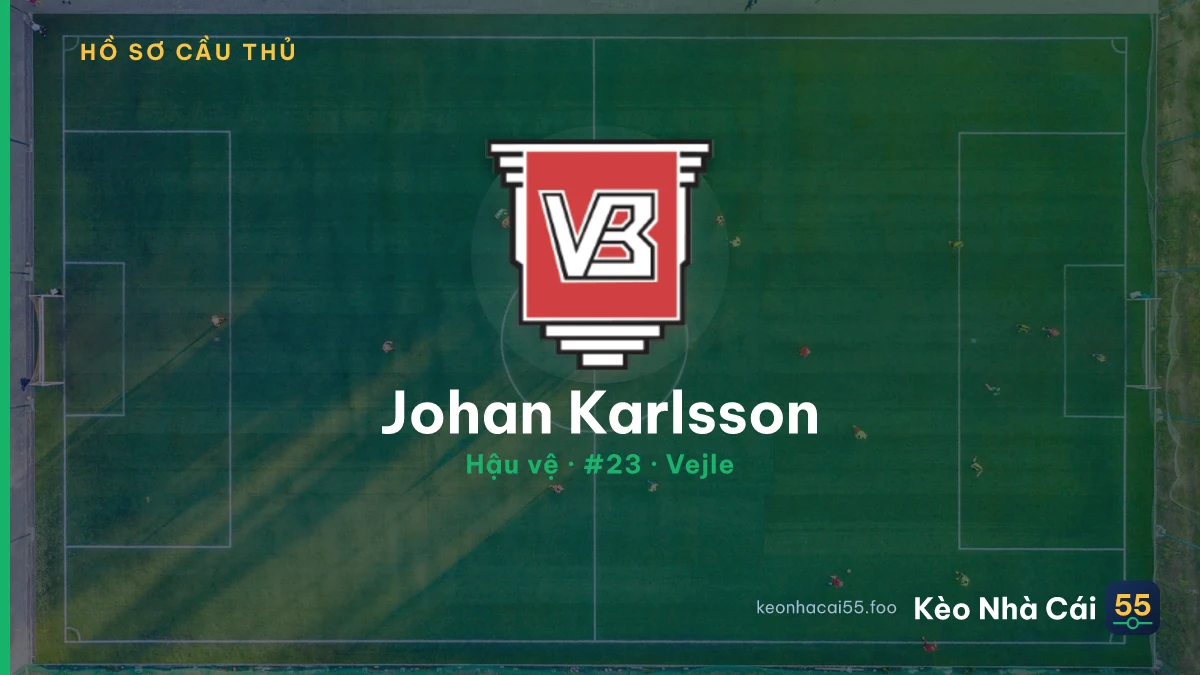 Johan Karlsson — Vejle
