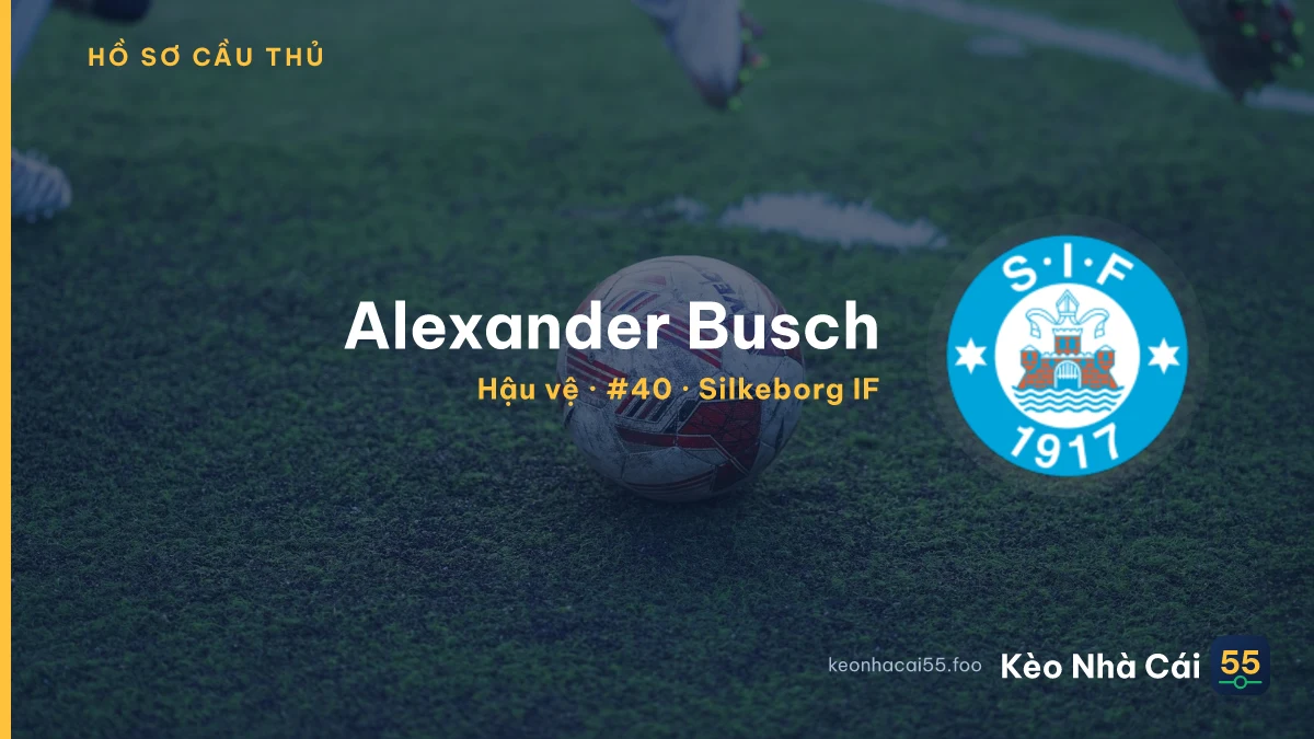 Alexander Busch — Silkeborg IF