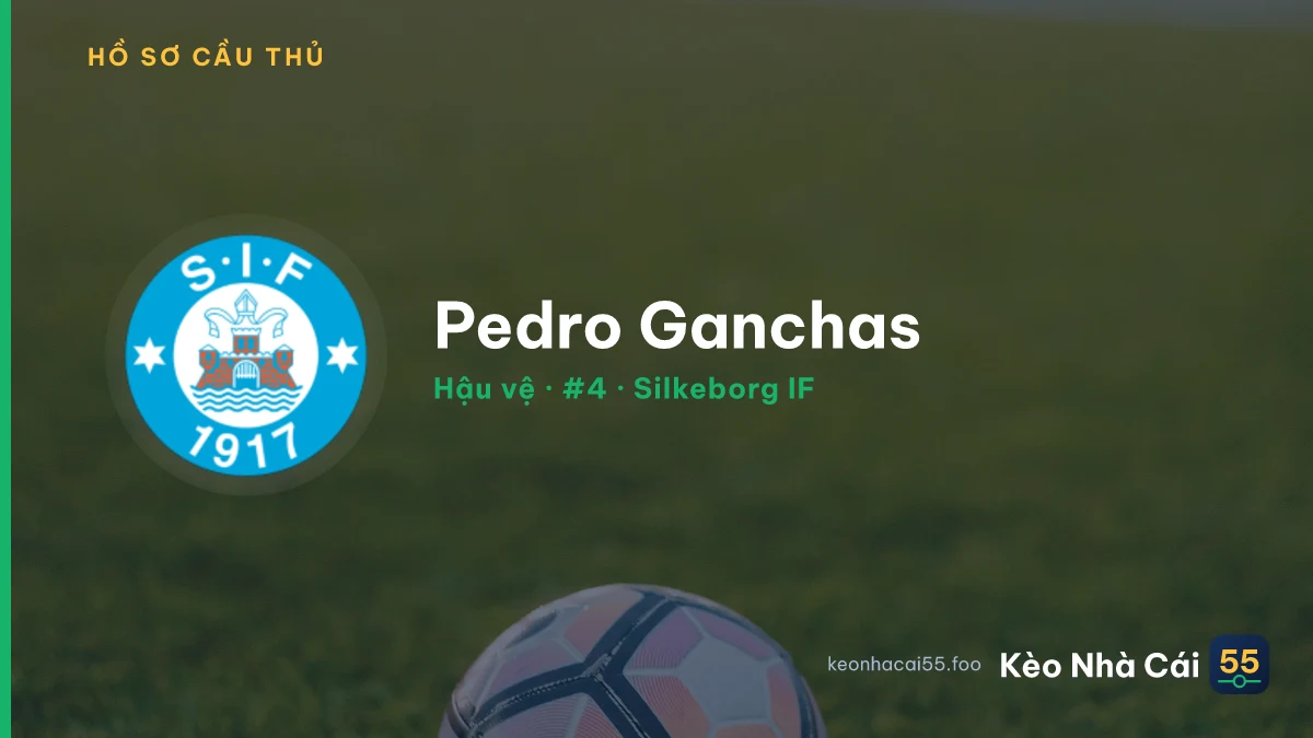 Pedro Ganchas — Silkeborg IF
