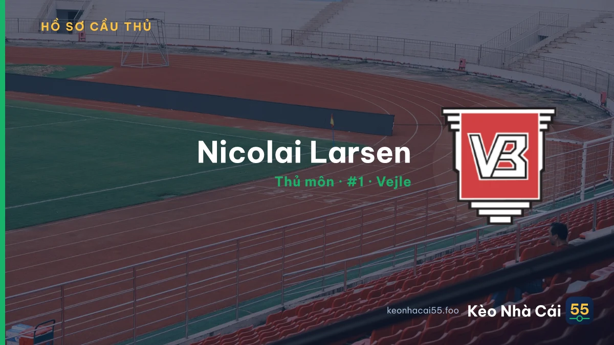 Nicolai Larsen — Vejle