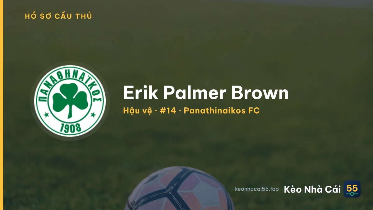 Erik Palmer Brown — Panathinaikos FC