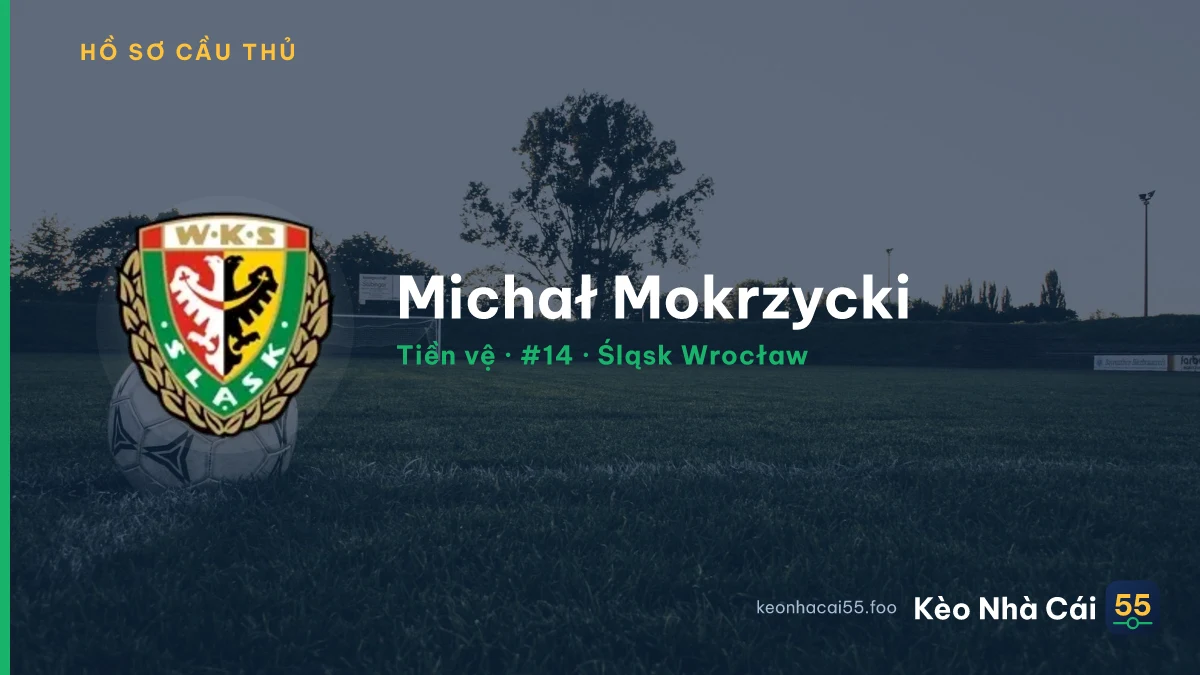 Michał Mokrzycki — Śląsk Wrocław