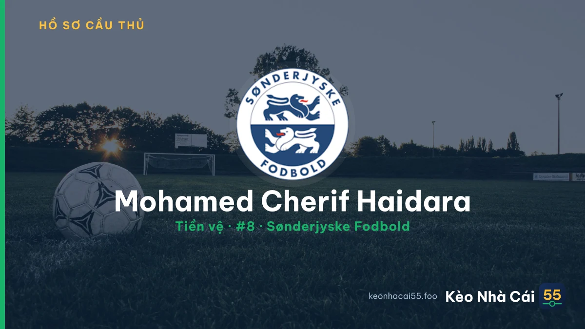 Mohamed Cherif Haidara — Sønderjyske Fodbold