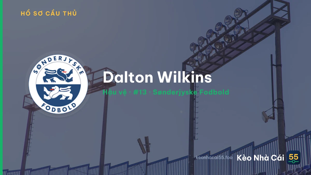 Dalton Wilkins — Sønderjyske Fodbold