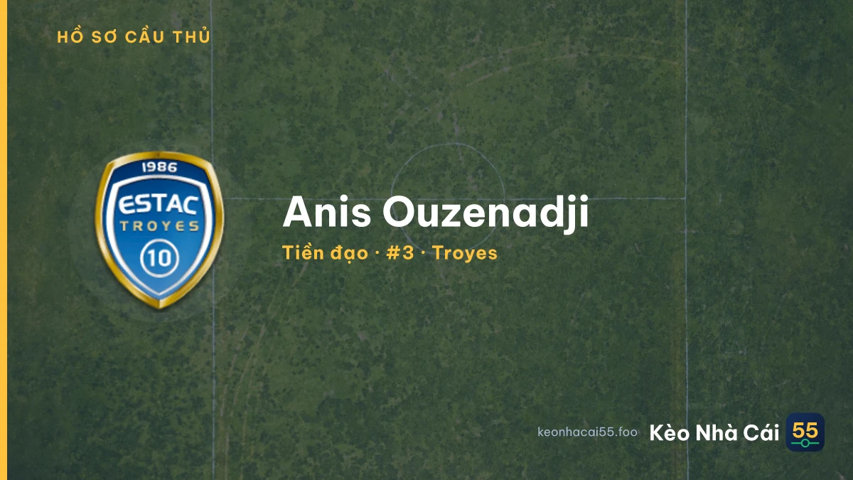 Anis Ouzenadji — Troyes