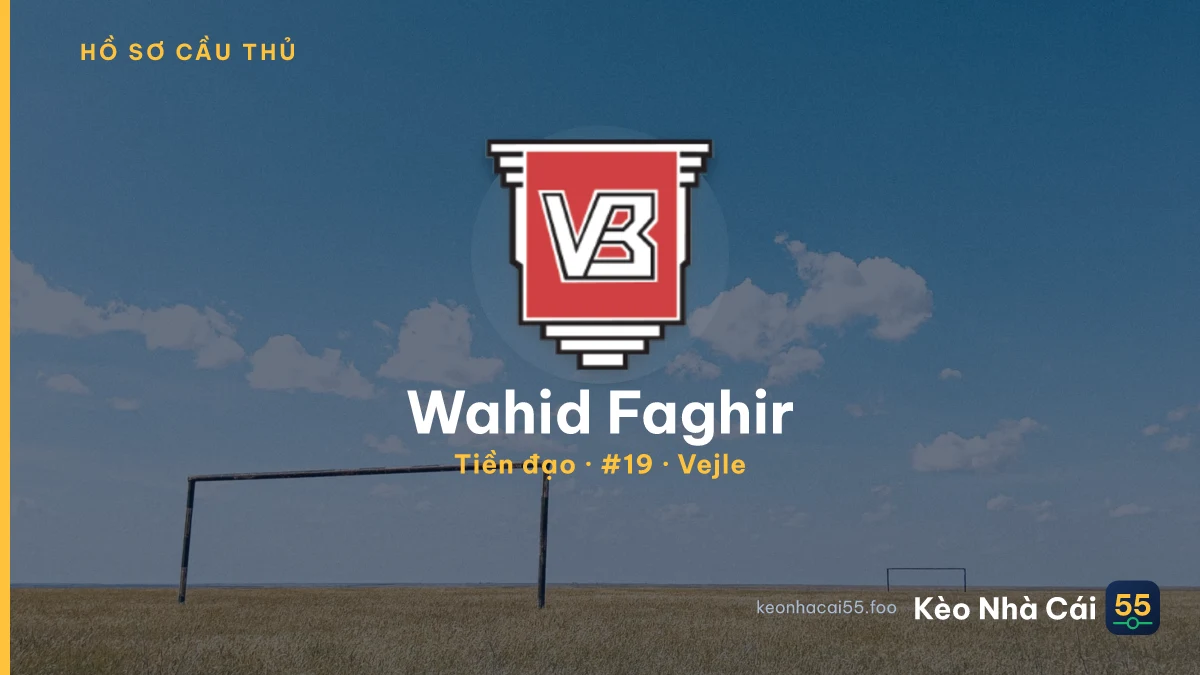 Wahid Faghir — Vejle
