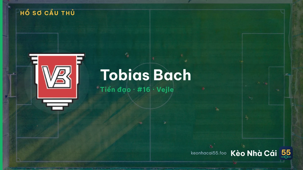 Tobias Bach — Vejle