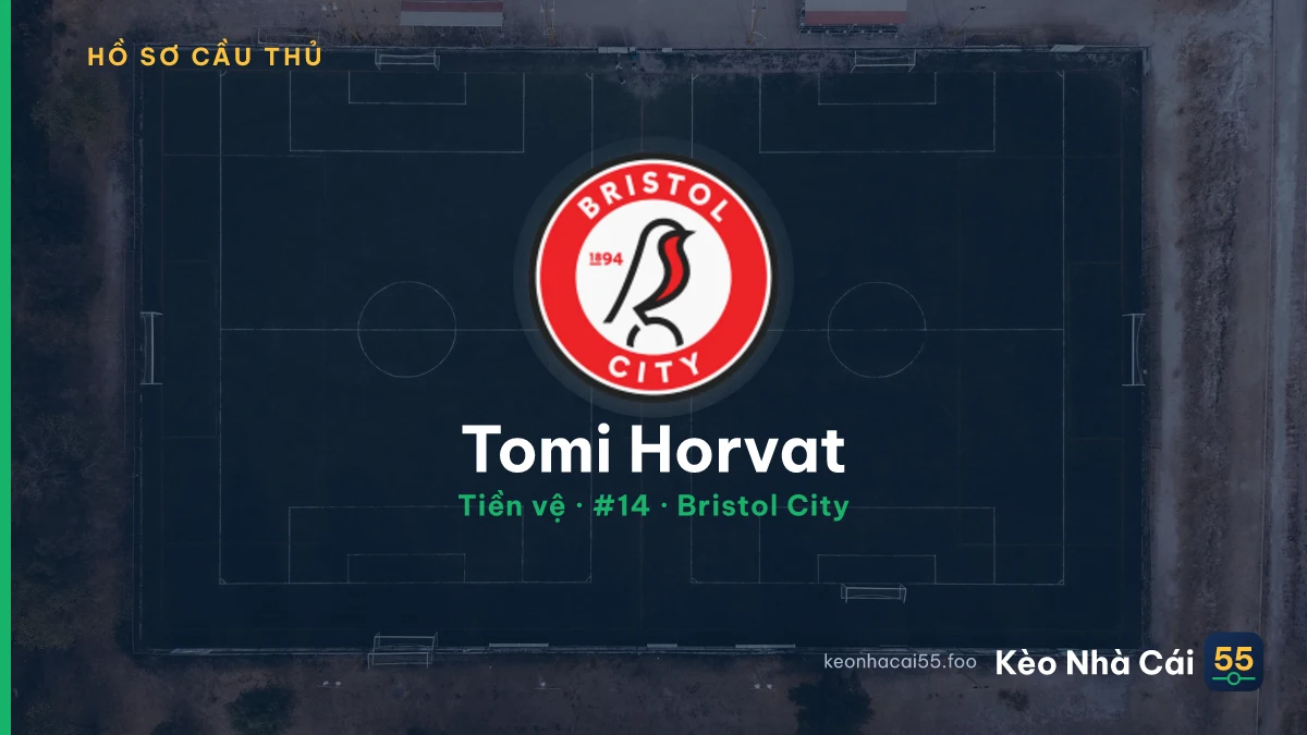 Tomi Horvat — Bristol City