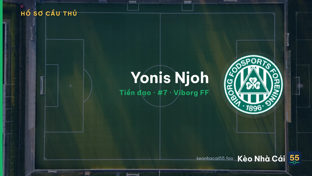 Yonis Njoh — Viborg FF