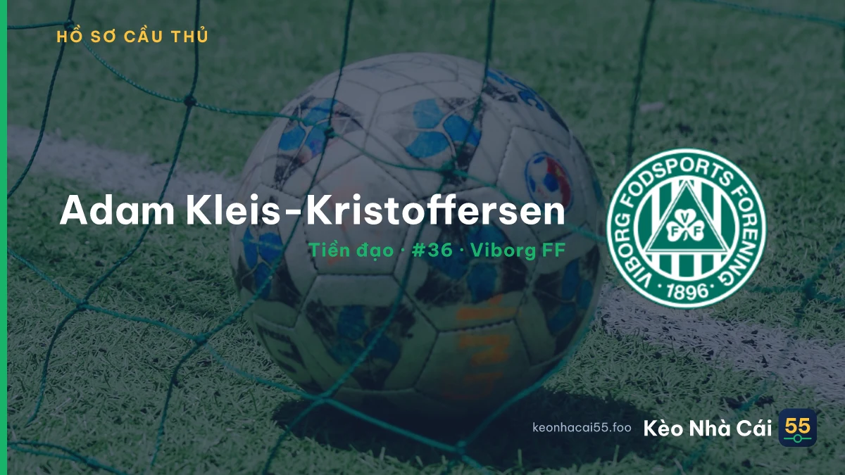 Adam Kleis-Kristoffersen — Viborg FF