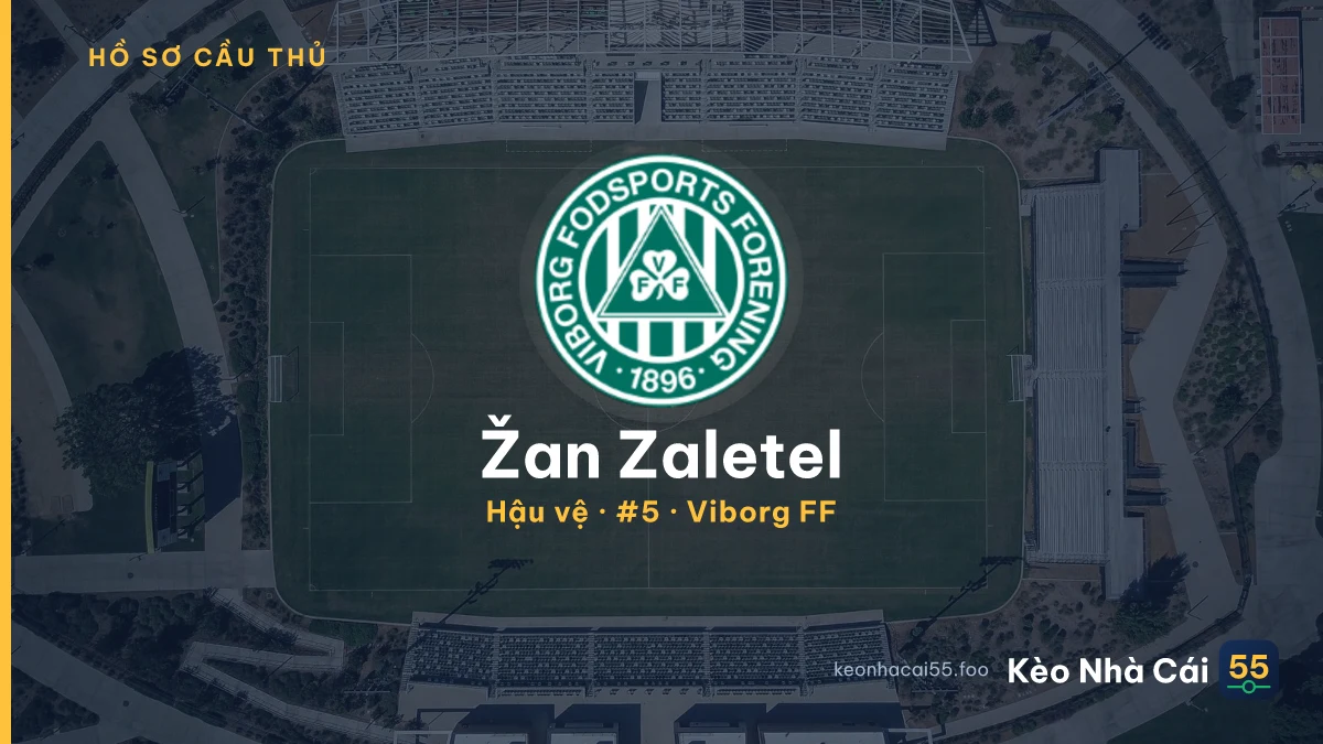 Žan Zaletel — Viborg FF