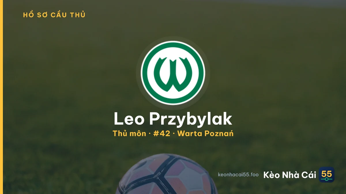 Leo Przybylak — Warta Poznań