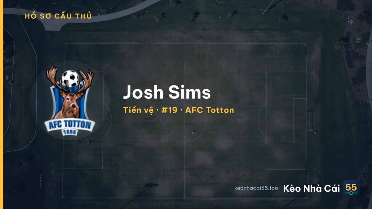 Josh Sims — AFC Totton