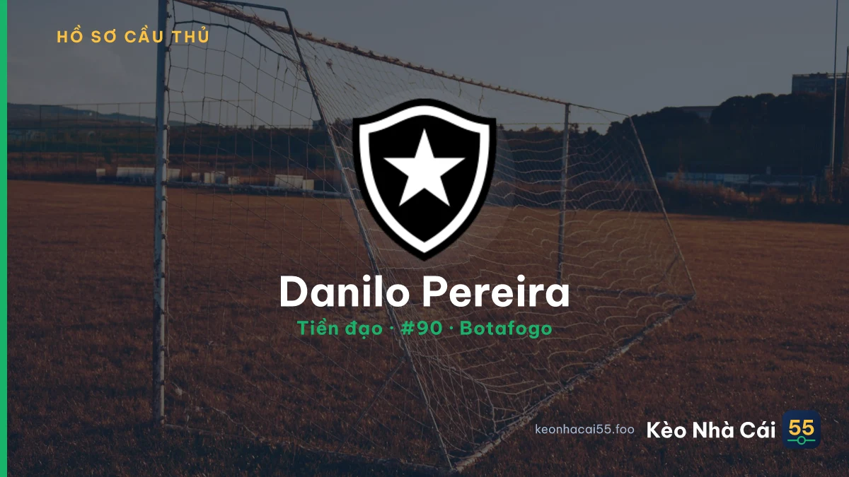 Danilo Pereira — Botafogo