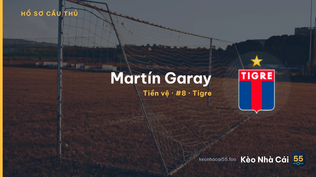 Martín Garay — Tigre