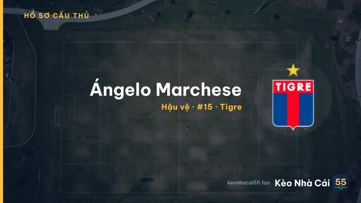 Ángelo Marchese — Tigre