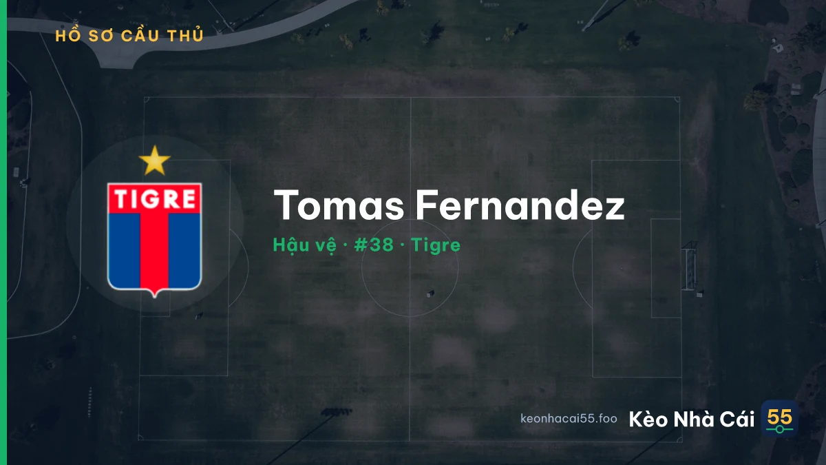 Tomas Fernandez — Tigre