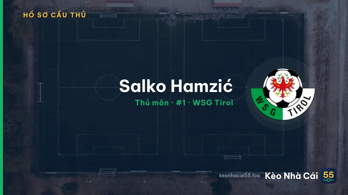 Salko Hamzić — WSG Tirol
