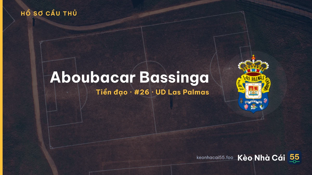 Aboubacar Bassinga — UD Las Palmas