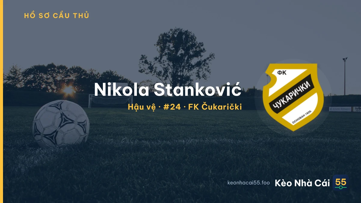 Nikola Stanković — FK Čukarički