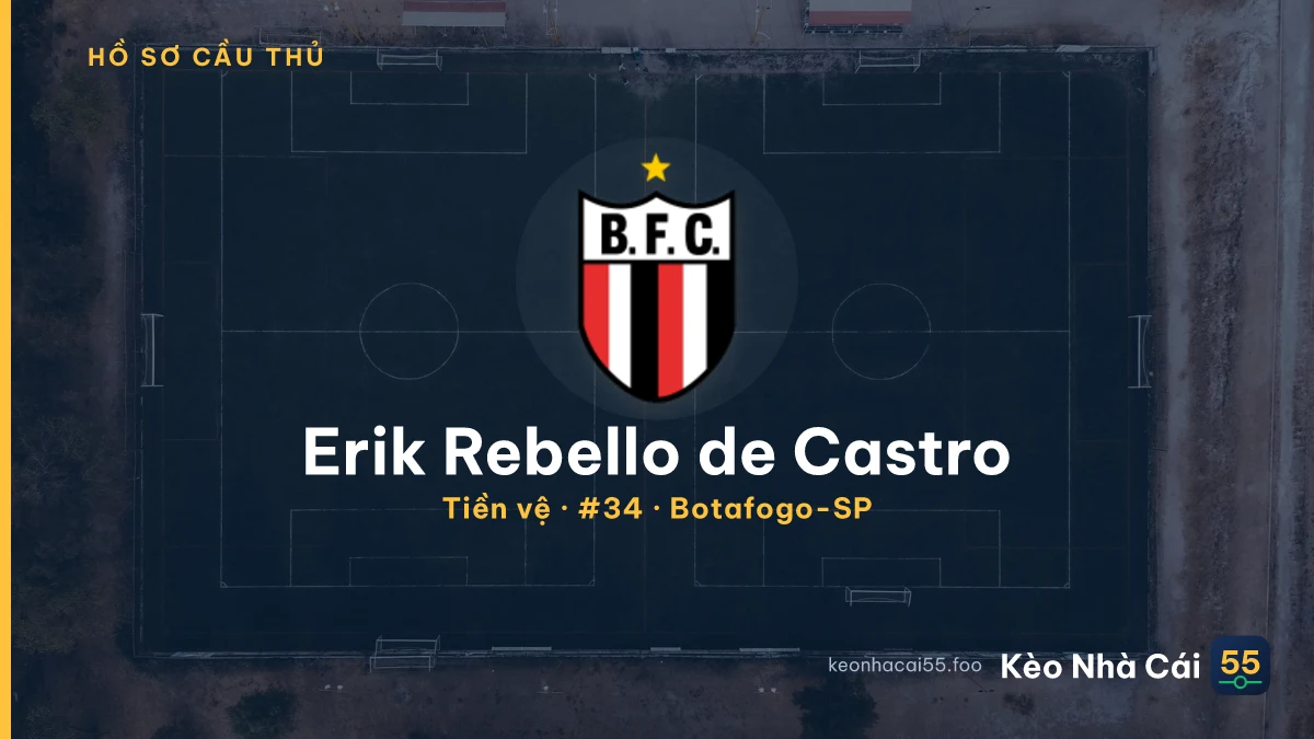 Erik Rebello de Castro — Botafogo-SP