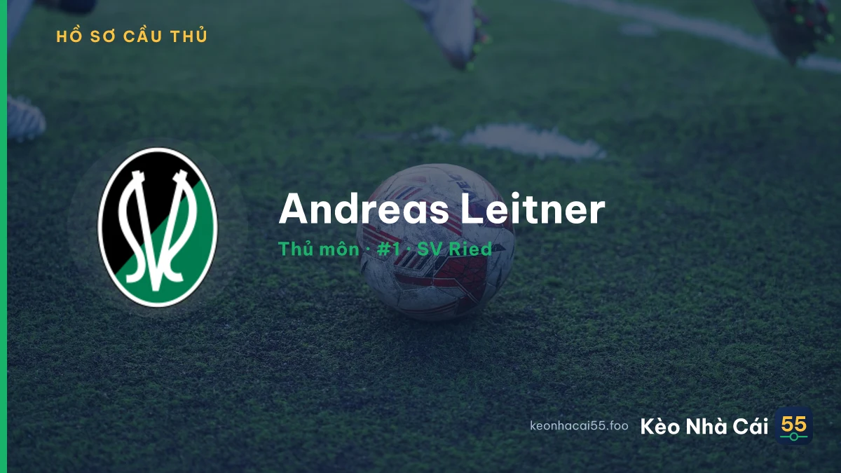 Andreas Leitner — SV Ried