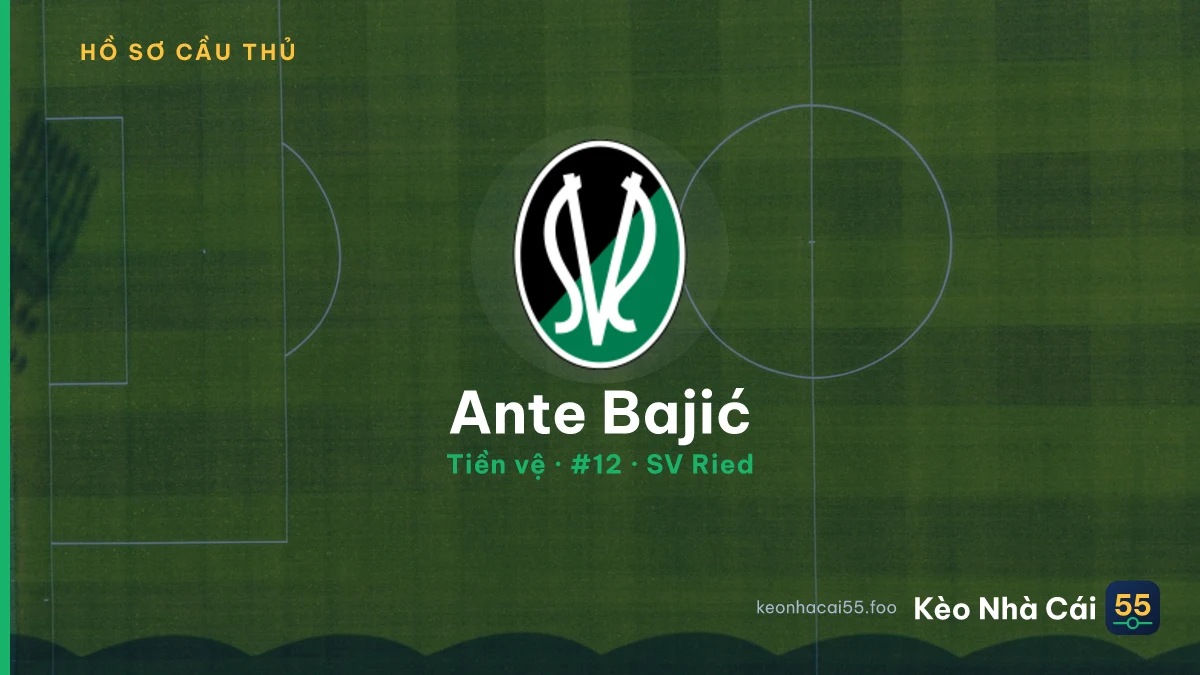 Ante Bajić — SV Ried
