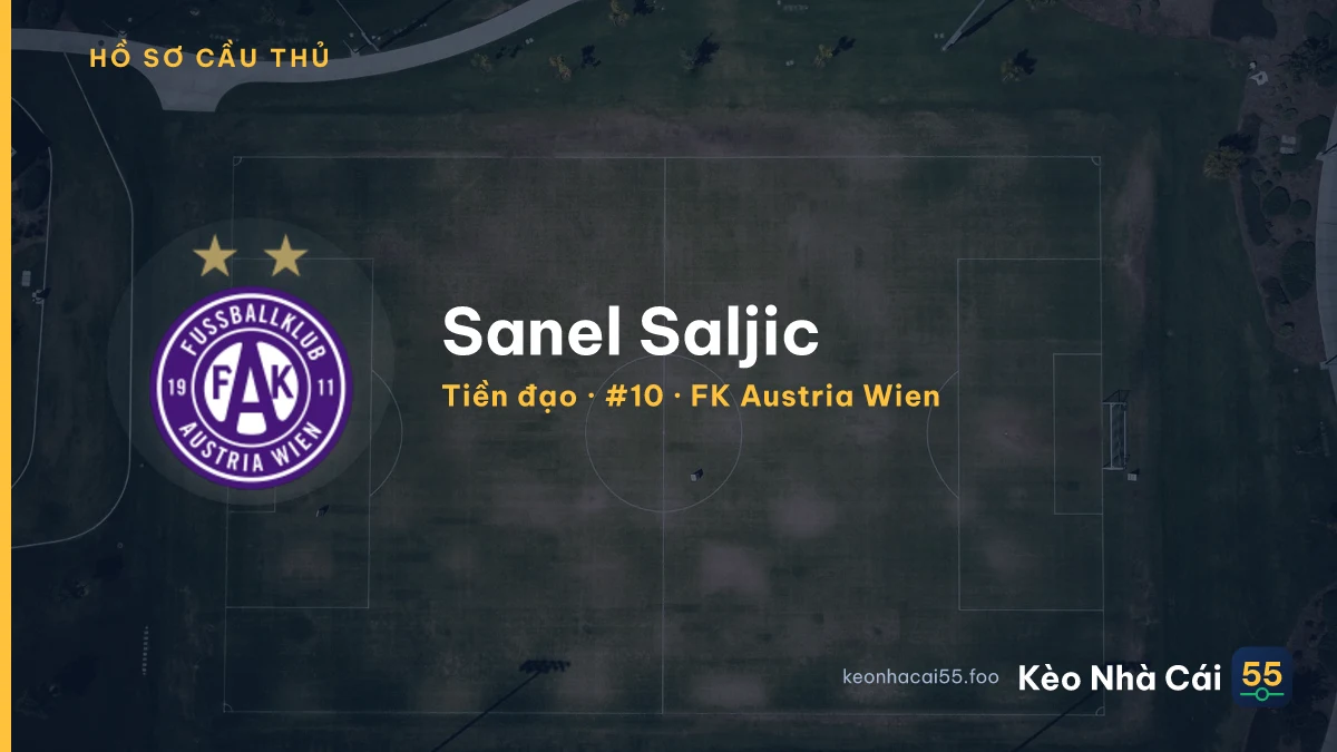 Sanel Saljic — FK Austria Wien