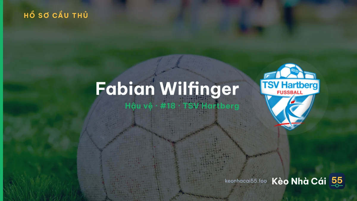 Fabian Wilfinger — TSV Hartberg