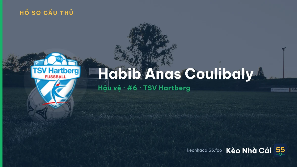 Habib Anas Coulibaly — TSV Hartberg