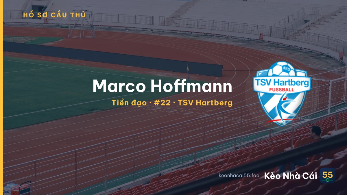 Marco Hoffmann — TSV Hartberg