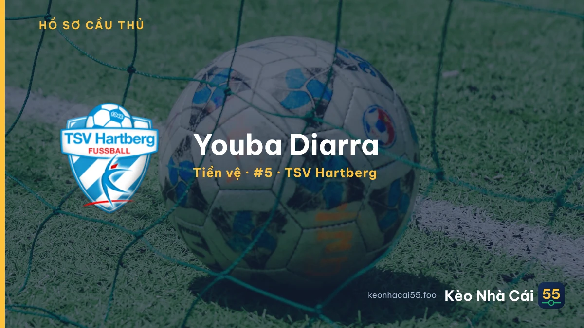 Youba Diarra — TSV Hartberg