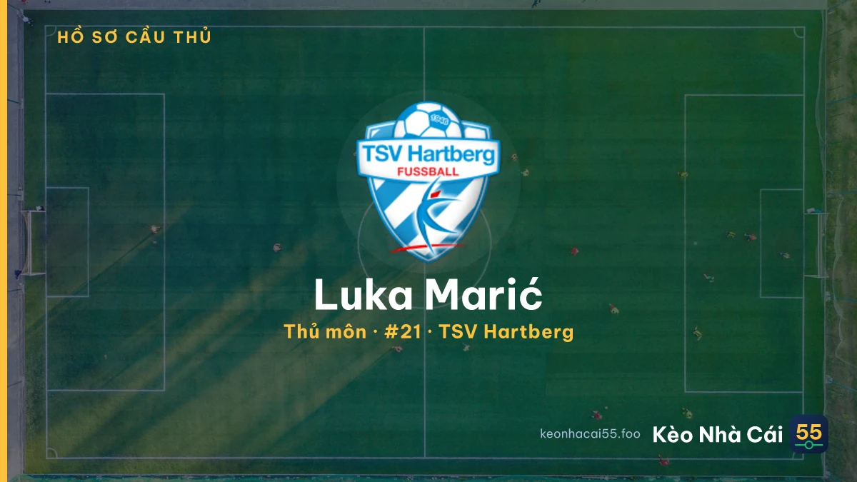 Luka Marić — TSV Hartberg