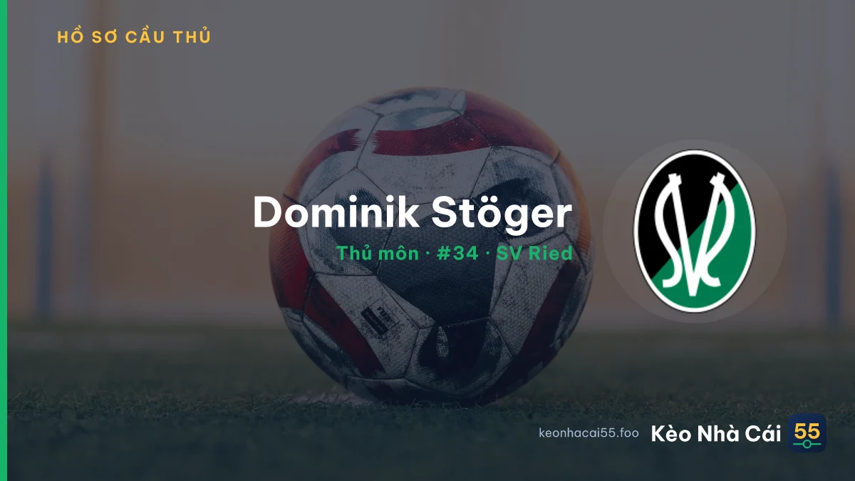 Dominik Stöger — SV Ried