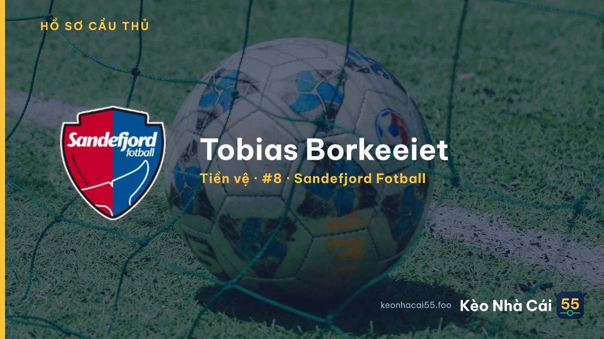 Tobias Borkeeiet — Sandefjord Fotball
